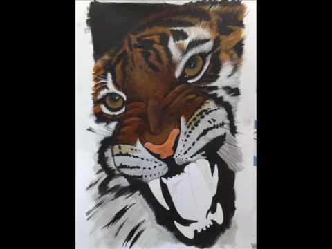 Disegno Tigre Da Fra Youtube