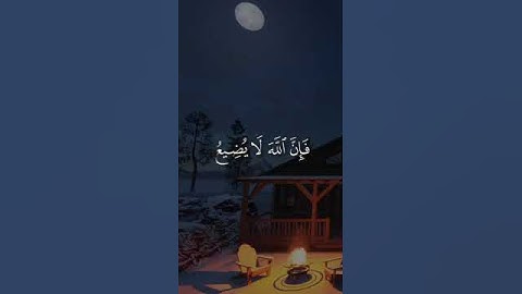 إنه من يتق ويصبر القارئ صلاح بو خاطر