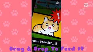 Taming a Stray Cat Gameplay screenshot 3