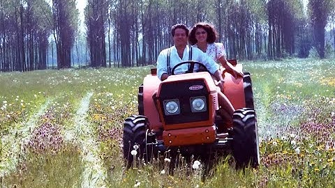 Деревенский парень (комедия с Р.Поццетто, Италия, 1984)