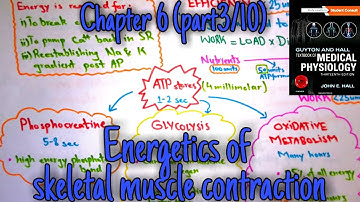 Energetics of muscle contraction - chapter 6 (part 3/10) - Guyton and hall text book of physiology.