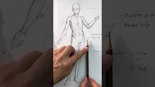 Basic Figure drawing (Anatomy)