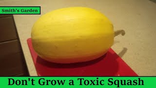 Don't grow a bitter toxic squash, it can be deadly! - Poisonous Squash/cucurbits is a real thing.