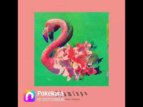 Flamingo（フラミンゴ）/米津玄師 ポケカラで歌ってみた（練習2）