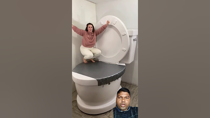 World Largest toilet seat #toilet #funny #bathroom #shorts