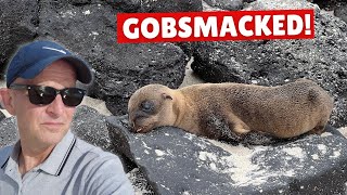 I Went On A Galapagos Cruise PACKED With Surprises
