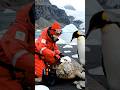 펭귄 엄마, 숨이 막힌 거북이를 구하다!  #동물구조 #rescue #animals
