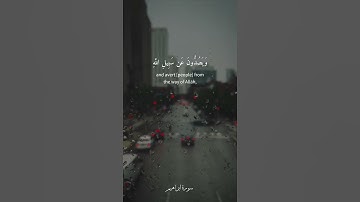 الله الذي له ما في السموات وما في الأرض وويل للكافرين من عذاب شديد [ إبراهيم: 2-3]القارئ هيثم الدخين