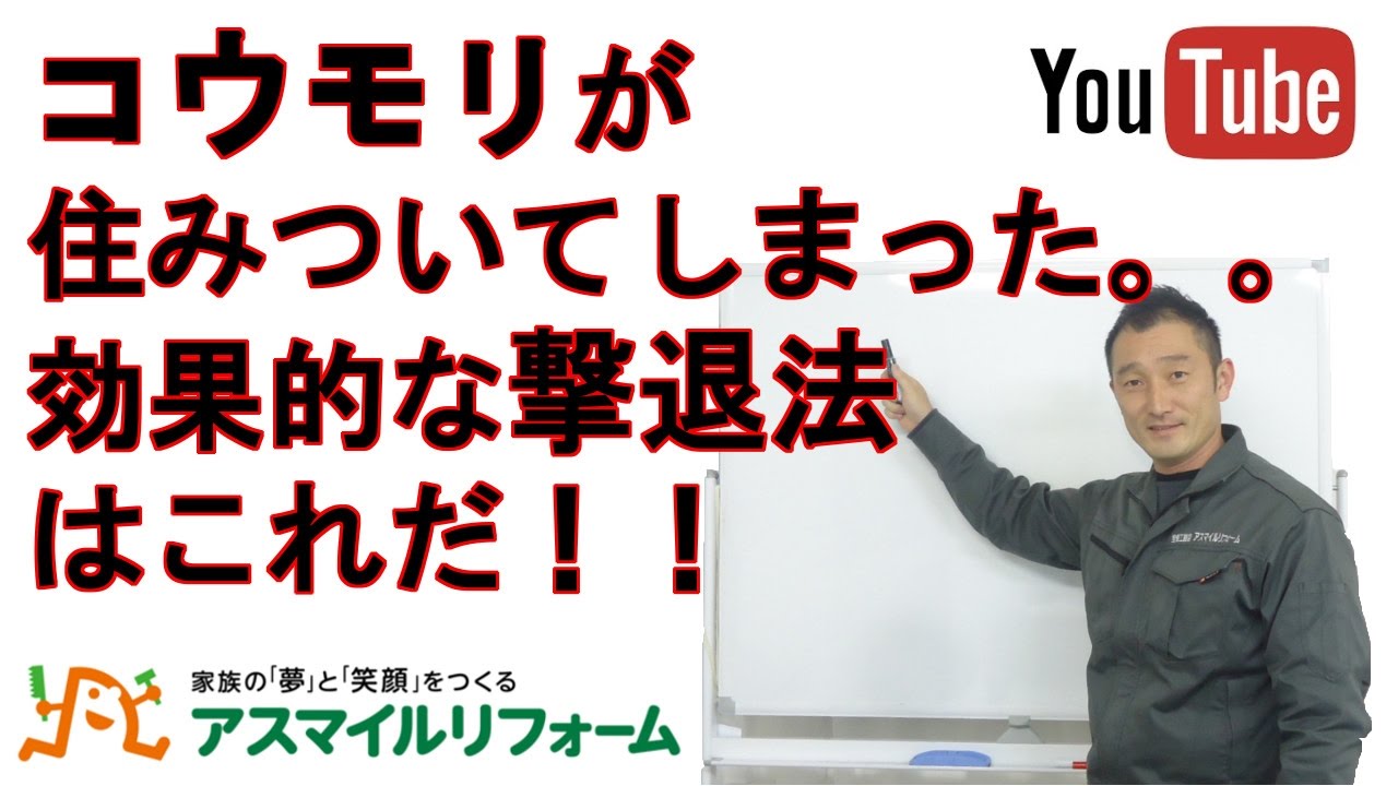 コウモリが住みついてしまった 効果的な撃退法はこれだ 京都府木津川市 アスマイルリフォーム Youtube