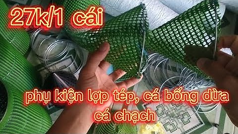 lợp tép, lợp cá bống dừa, cá chạch giá cực rẻ (phụ kiện)