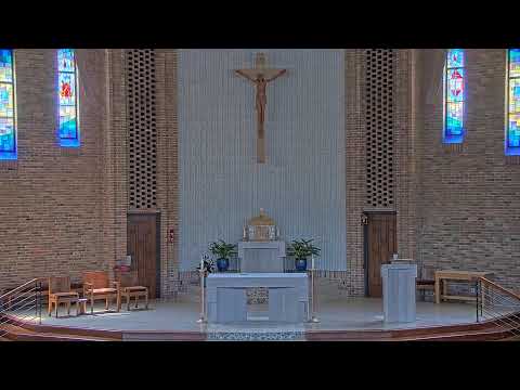 Sunday Mass - 11 AM - 07/13/2025