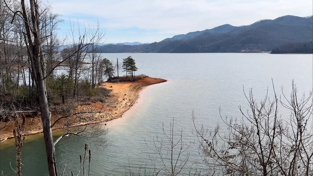 This Last Year Nearly Crushed Me Until…….