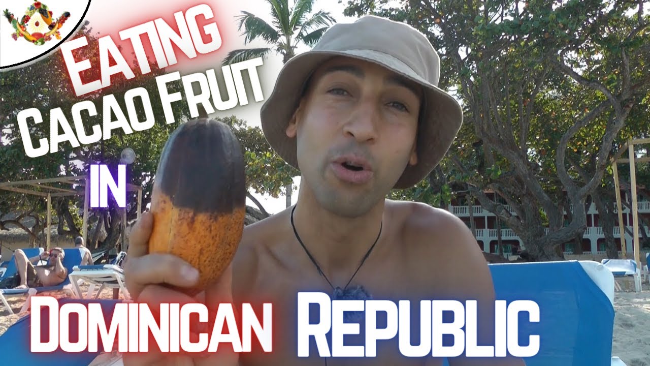 Eating Raw Cacao Fruit in Dominican Republic YouTube