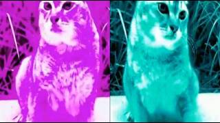 Friday01 (Sweet Trip x Spaceghostpurrp mashup)
