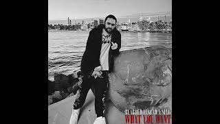 BEARDED LEGEND - WHAT YOU WANT (PROD. SLVG)
