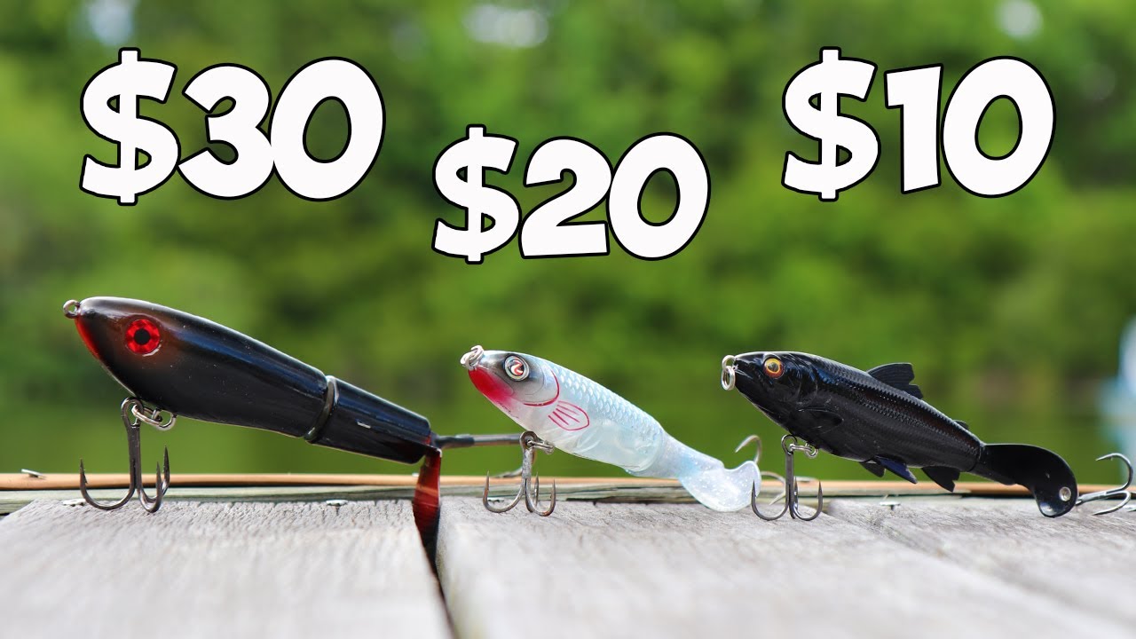 CHEAP vs EXPENSIVE whopper plopper fishing CHALLENGE!!!