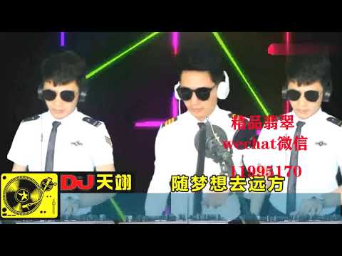 动感DJ《随梦想去远方》，太好听了，送给大家！