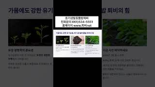 유기농업,친환경 농업에 최적화된 탁월한 토양 개선 효과 호기성발효톱밥퇴비