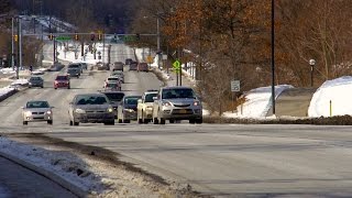 Michigan Public Policy Survey: Roads