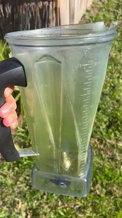 Vitamix blender turmeric stain removal