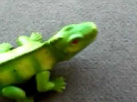 battery operated lizard toy