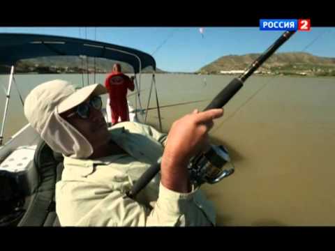 Погода в сочи на 24 дней