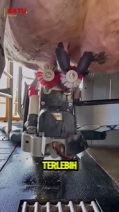 Very Advanced Cow Milking Equipment In Japan!! #shorts #tools