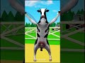 القرة البقرة الراقصة البقرة الحلوب البقرة الضاحكه حليب البقر The Cow القرة البقرة الراقصة البقرة الحلوب البقرة الضاحكه حليب البقر The Cow