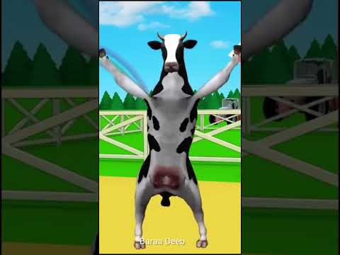 القرة البقرة الراقصة البقرة الحلوب البقرة الضاحكه حليب البقر  