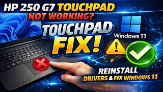 HP 250 G7 Touchpad Not Working FIX Windows 11
