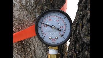 3/16 sap line tubing hybrid successful test