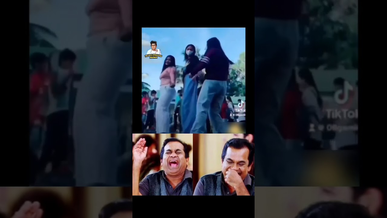 When dog ruined their dance 🤣😂