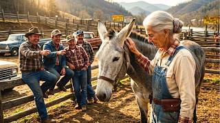 They Laughed at the Mule She Bought at Auction — Until 6 Months Later