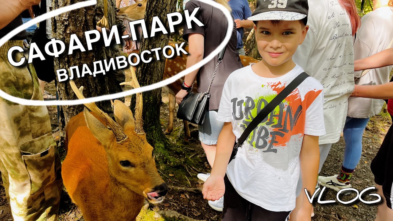 Максим кормит льва!🥩 Сафари-парк во Владивостоке