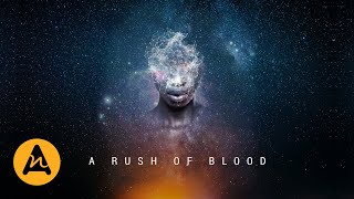A Rush Of Blood | Mark Petrie