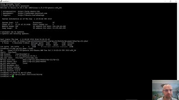How To Install WP CLI on Linux in Under a Minute