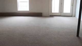 13 Eric Rd video tour