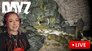 DINO DayZ BLACKPOOL┃LIVE 1440p! !MERCH