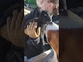 Surprise Lamb twins on the homestead