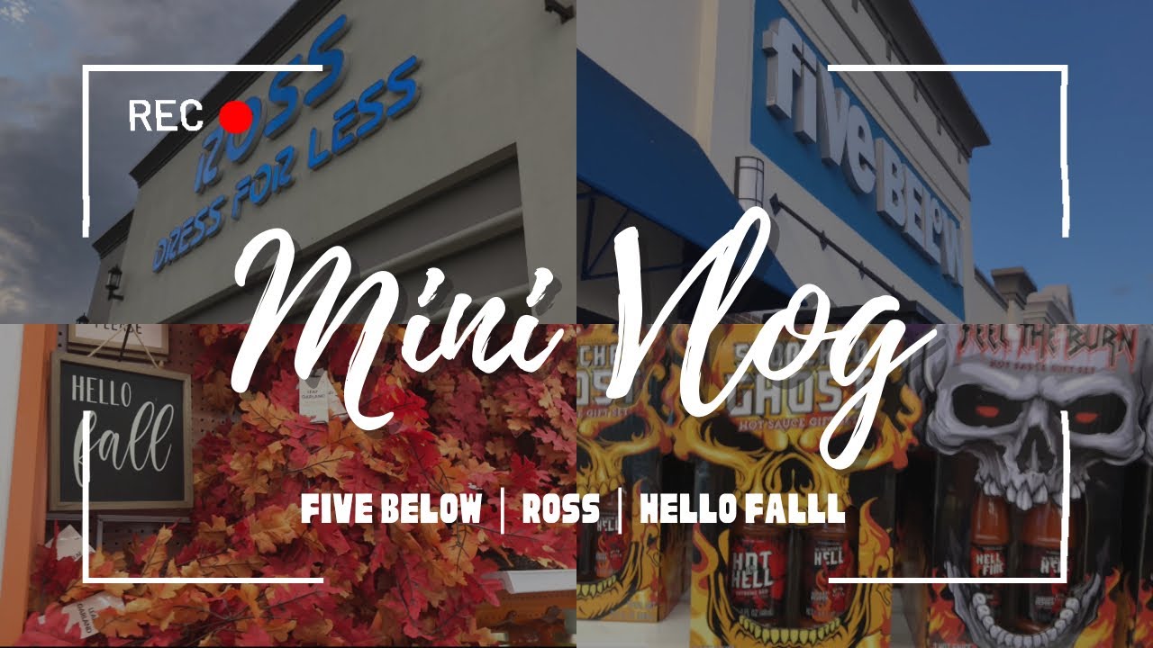 five-below-mini-vlog-youtube