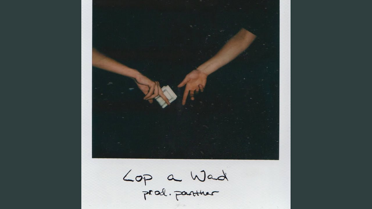 cabbage run .v1 (feat. AdamnG)