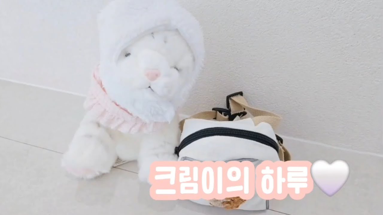 크림이의 하루🤍