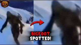 7 Bigfoot Sightings That Will Make You Believe!