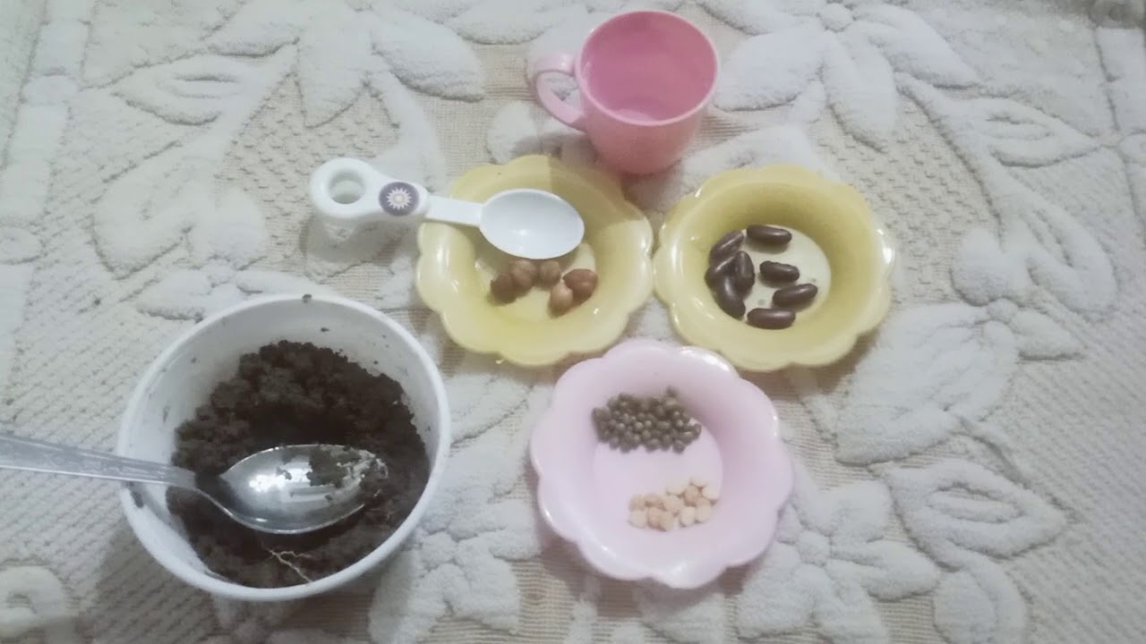 Seed germination activity - YouTube