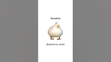 Socialism (explained by ducks)