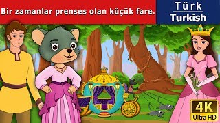 Bir zamanlar prenses olan küçük fare | A Little Mouse Who Was A Princess | Turkish Fairy Tales