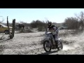 ROOST - Marc Prince