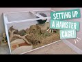 How to Setup a Hamster Cage