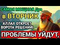 🤲САМАЯ СИЛЬНАЯ Дуа в ВТОРНИК В МЕСЯЦА МУХАРРАМ! РИЗК, БОГАТСТВО, УСПЕХ, СЧАСТЬЕ!