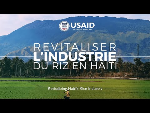 Strengthening Haiti’s Rice Sector in the Northern Region.